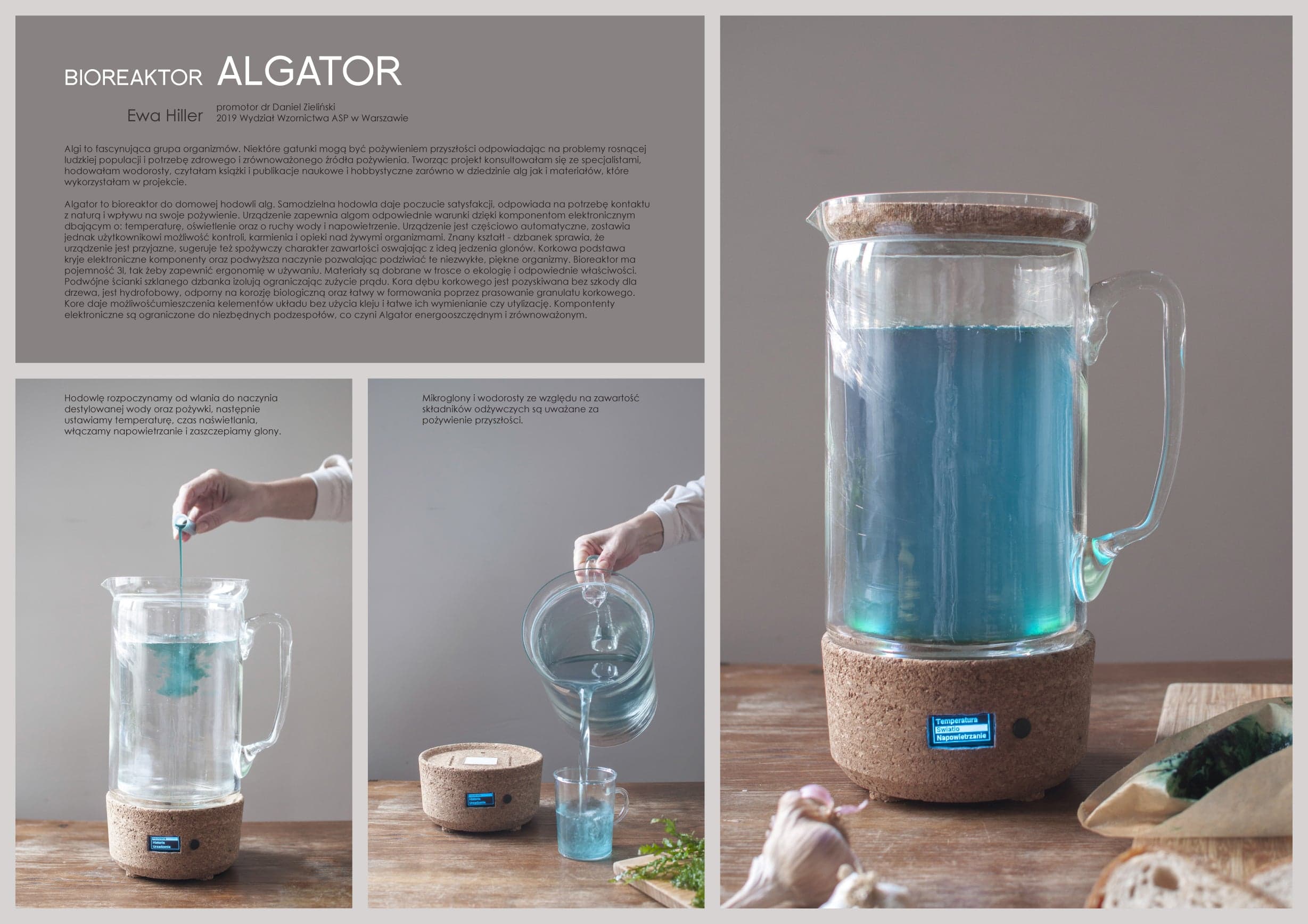 Algator - zdjęcie 2