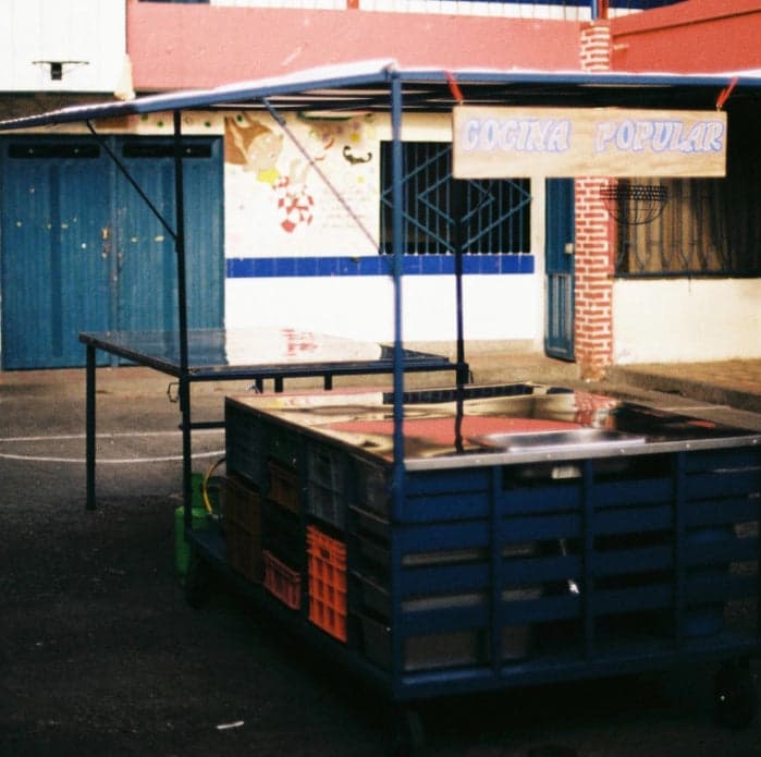 DELLI. Photosynthesis design - zdjęcie 3