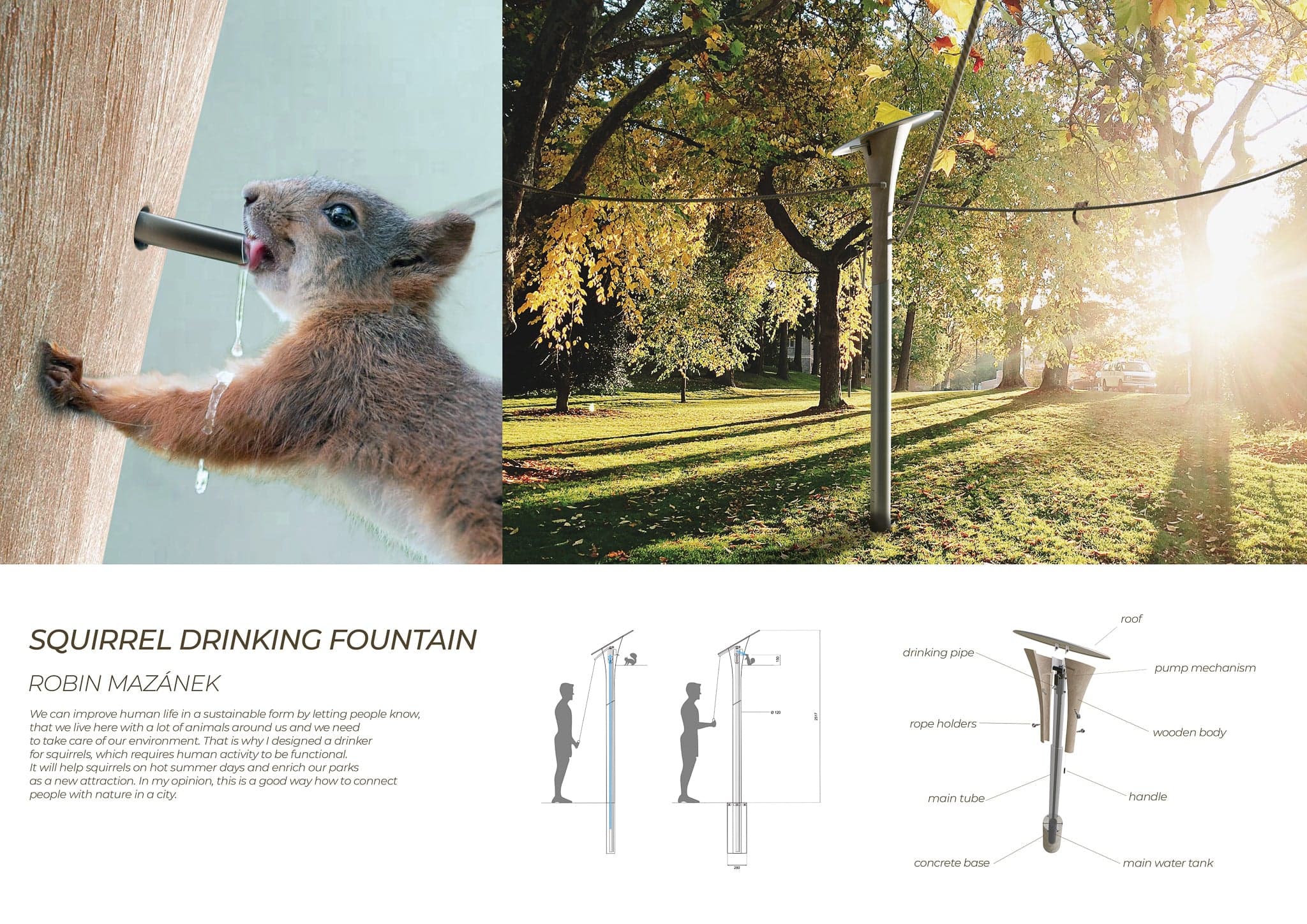 Fontanna do picia dla wiewiórek - zdjęcie 2