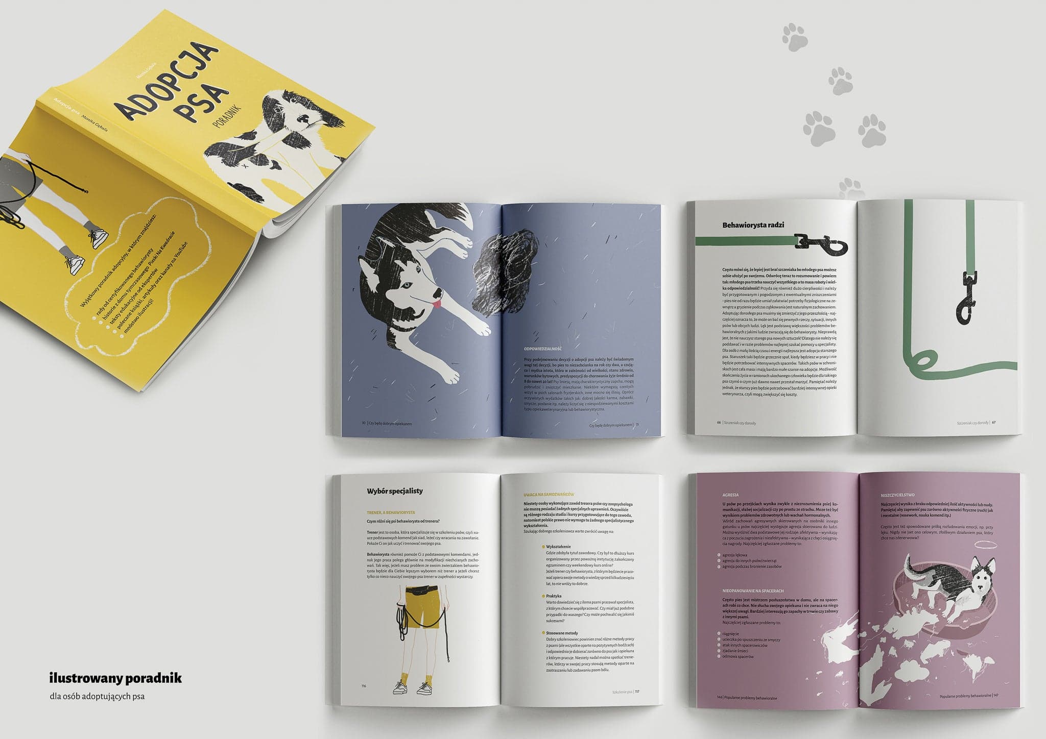 Poradnik dla osób adoptujących psa - zdjęcie 2