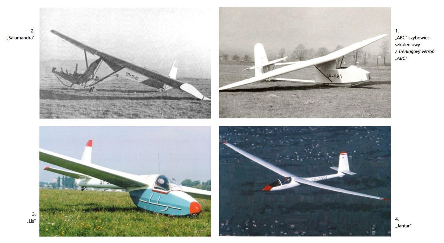 szybowce SZD - zdjęcie 3