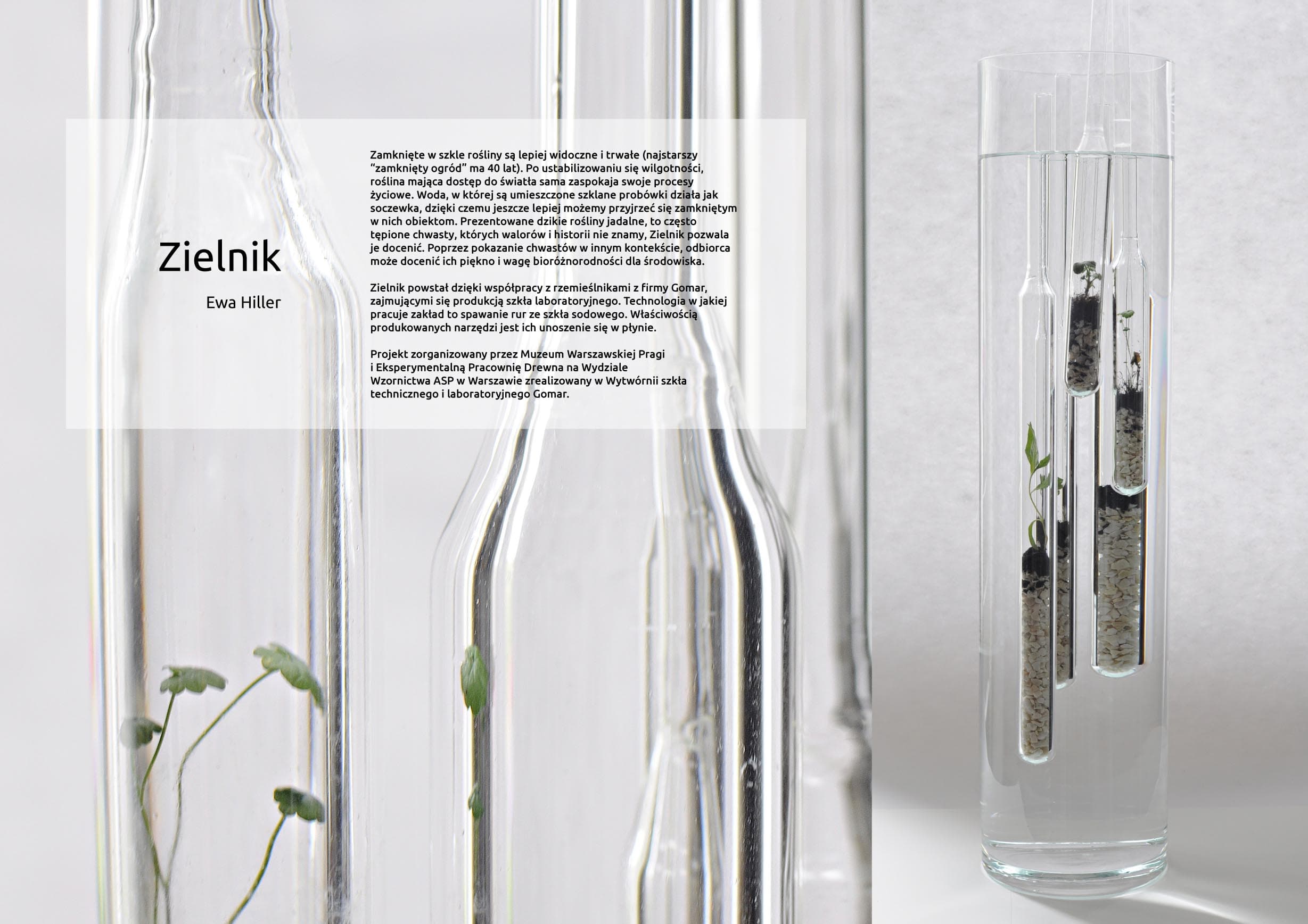 Zielnik - zdjęcie 2