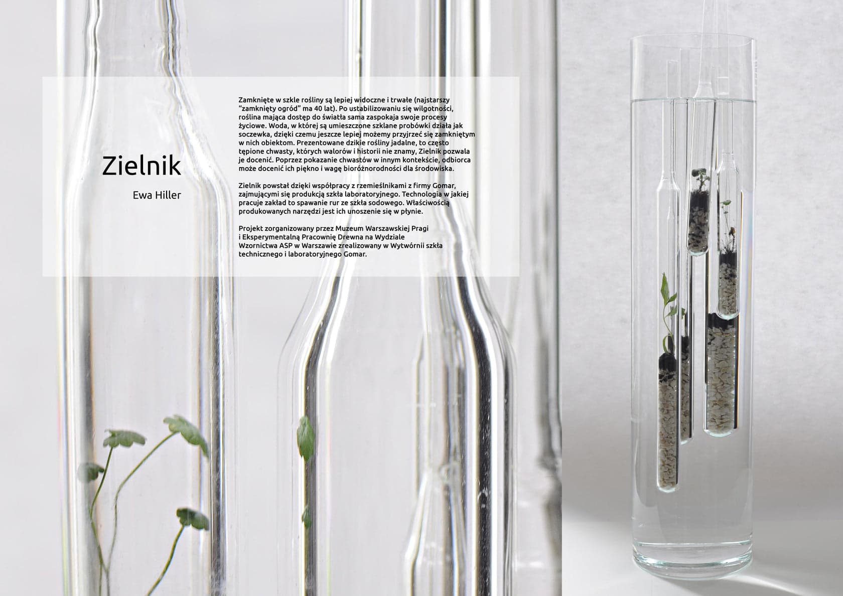 Zielnik - zdjęcie 3