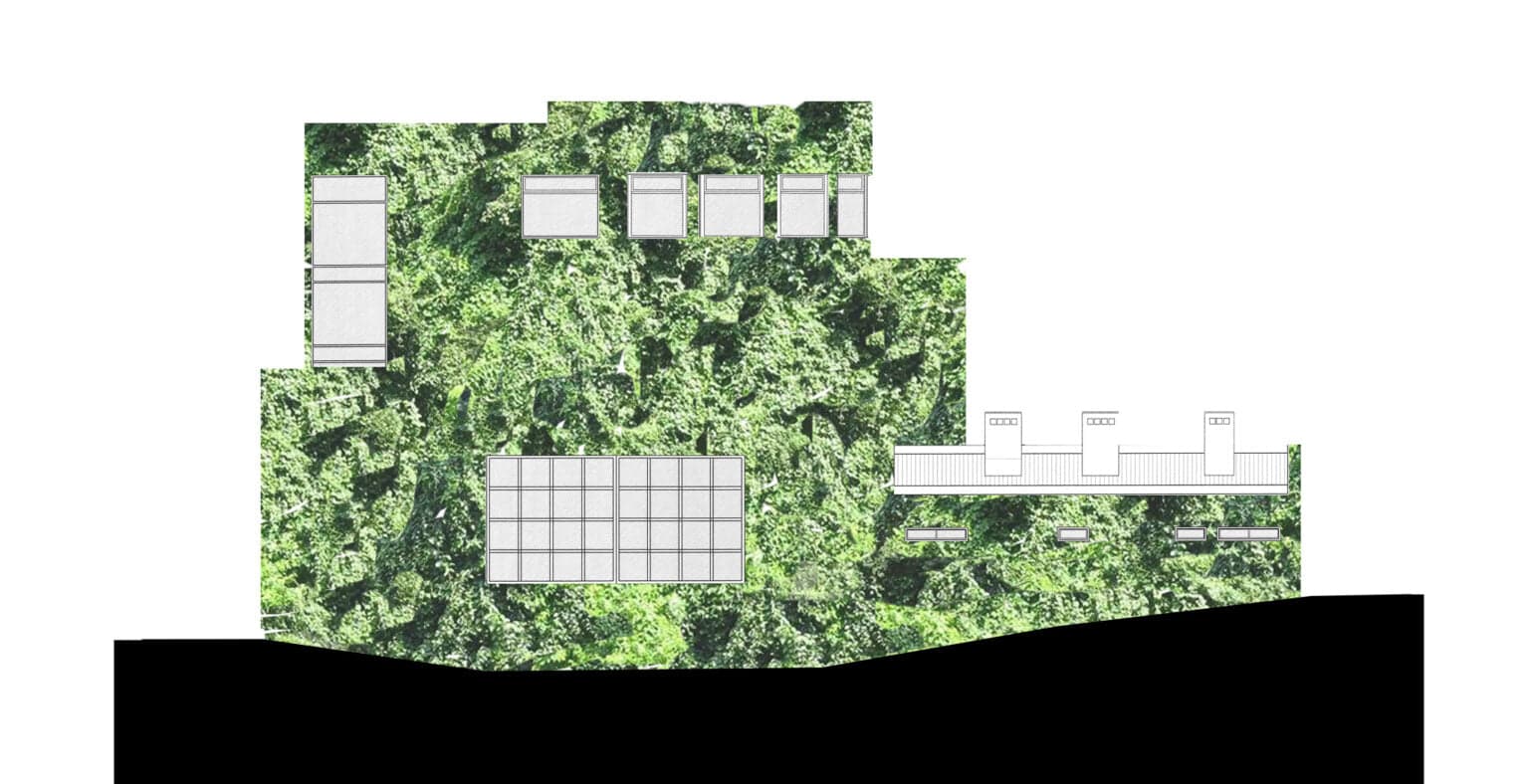 Żywa fasada - zdjęcie 3