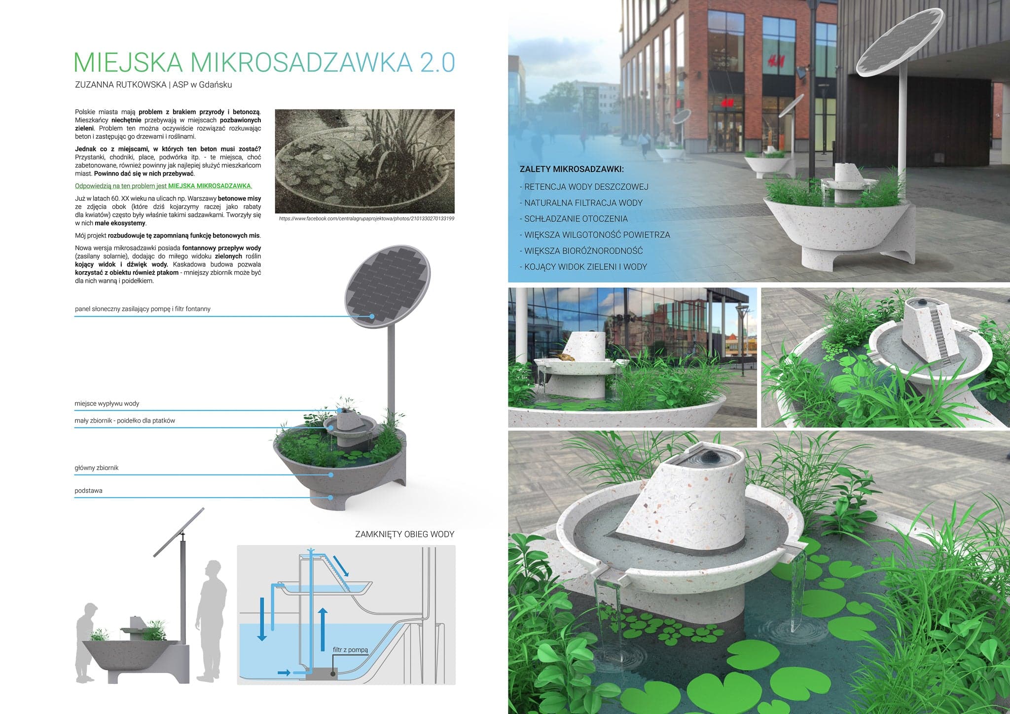 MIEJSKA MIKROSADZAWKA 2.0 - zdjęcie 2